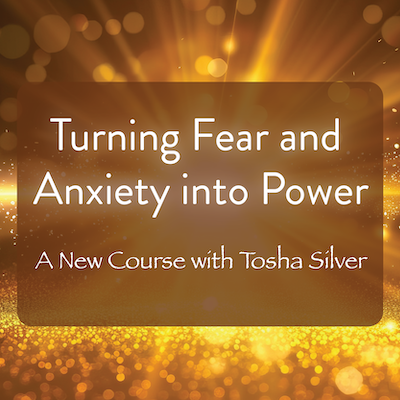 Turning Fear and Anxiety into Power – Tosha Silver