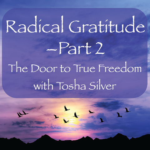 Radical Gratitute - Part II